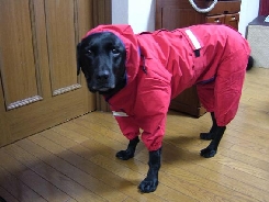 raincoat.jpg